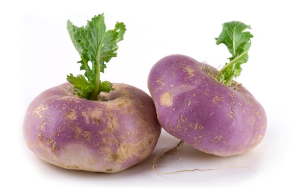 Лук